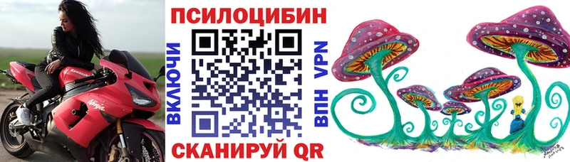 Купить где  Шарья  Галлюциногенные грибы GOLDEN TEACHER 